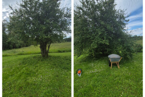 Orava Teenus OÜ Haljastustööd