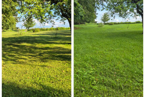 Orava Teenus OÜ Haljastustööd