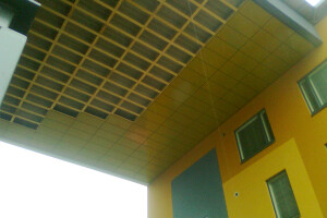 M.S.H.Mitt OÜ Üldehitus