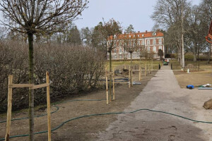 Annsan OÜ Haljastustööd