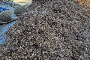 Annsan OÜ Haljastustööd