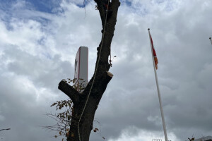 Annsan OÜ Haljastustööd