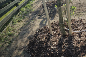 Annsan OÜ Haljastustööd