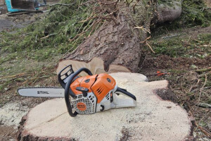 Annsan OÜ Haljastustööd