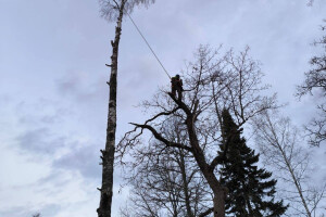 Annsan OÜ Haljastustööd