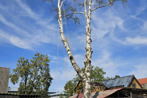 Annsan OÜ Haljastustööd