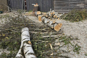 Annsan OÜ Haljastustööd