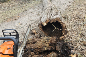 Annsan OÜ Haljastustööd