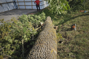 Annsan OÜ Haljastustööd