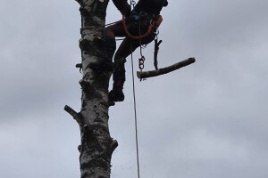 Annsan OÜ Haljastustööd