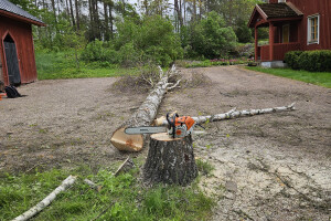 Annsan OÜ Haljastustööd