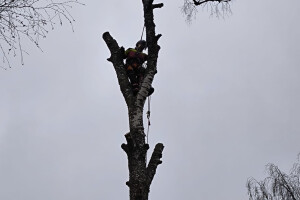 Annsan OÜ Haljastustööd