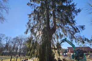 Annsan OÜ Haljastustööd