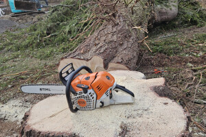 Annsan OÜ Haljastustööd