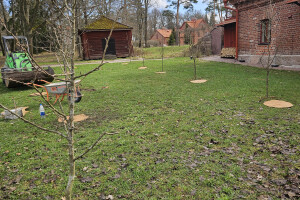 Annsan OÜ Haljastustööd