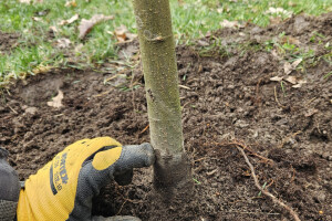 Annsan OÜ Haljastustööd