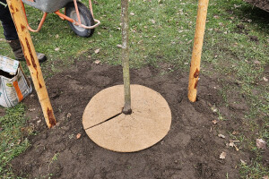 Annsan OÜ Haljastustööd