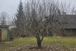 Annsan OÜ Haljastustööd