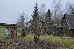 Annsan OÜ Haljastustööd