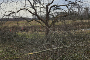 Annsan OÜ Haljastustööd