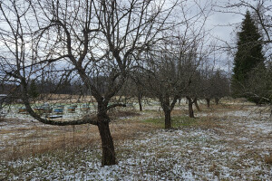 Annsan OÜ Haljastustööd