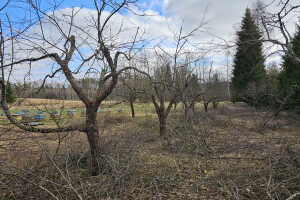 Annsan OÜ Haljastustööd