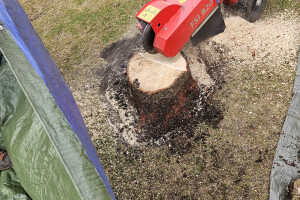 Annsan OÜ Haljastustööd