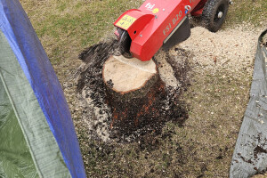 Annsan OÜ Haljastustööd