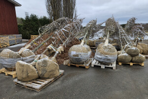 Annsan OÜ Haljastustööd