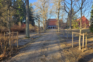 Annsan OÜ Haljastustööd