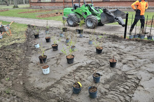 Annsan OÜ Haljastustööd