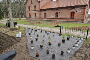 Annsan OÜ Haljastustööd