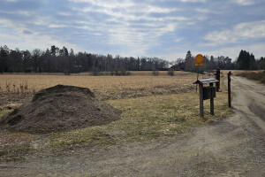 Annsan OÜ Haljastustööd