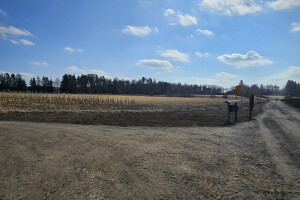 Annsan OÜ Haljastustööd