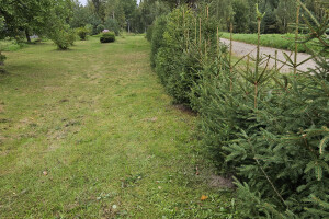 Annsan OÜ Haljastustööd