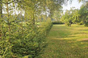 Annsan OÜ Haljastustööd