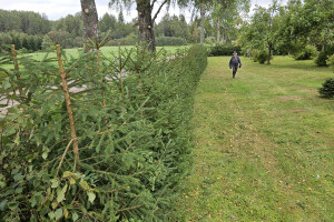 Annsan OÜ Haljastustööd