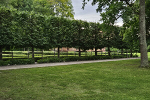 Annsan OÜ Haljastustööd