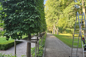 Annsan OÜ Haljastustööd