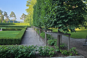 Annsan OÜ Haljastustööd