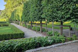 Annsan OÜ Haljastustööd