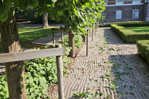 Annsan OÜ Haljastustööd