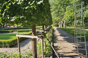 Annsan OÜ Haljastustööd