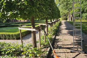 Annsan OÜ Haljastustööd