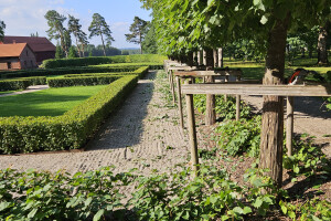 Annsan OÜ Haljastustööd