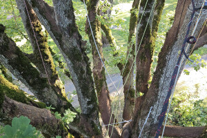 Annsan OÜ Haljastustööd