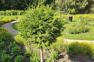 Annsan OÜ Haljastustööd