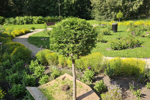 Annsan OÜ Haljastustööd