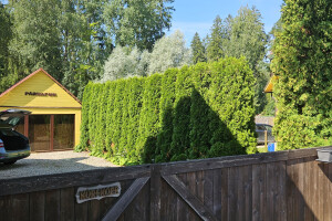 Annsan OÜ Haljastustööd