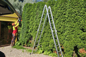 Annsan OÜ Haljastustööd